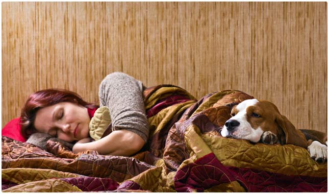optimize environment for sleep