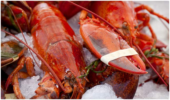 lobster is crazy high in iodine