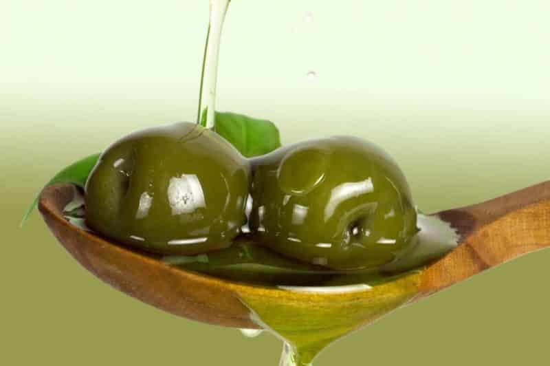 Fat Content Of Olives 81