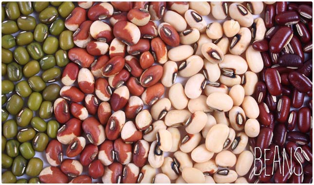 low glycemic beans