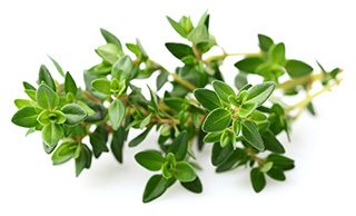 thyme weight loss hack