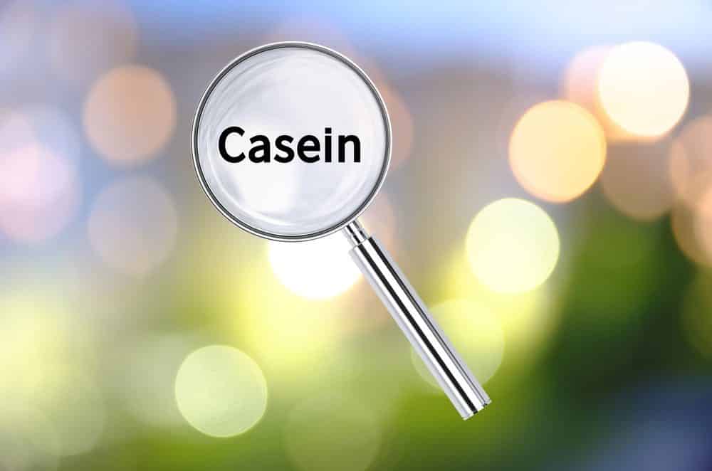 Is Casein Powder Good For Weight Loss